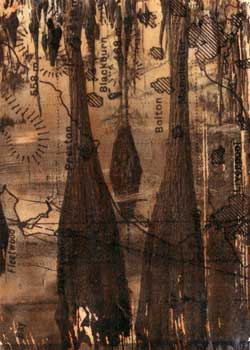 "Cypress Grove" by Bev Balakhovsky, Madison WI - Mixed Media - SOLD